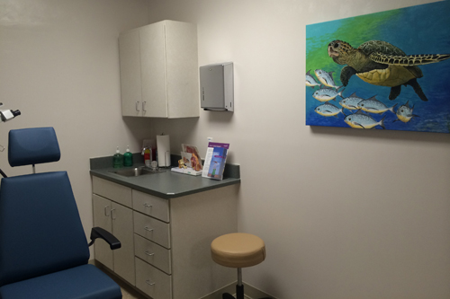 ENT Doctor Office Patient Room Palm Coast FL